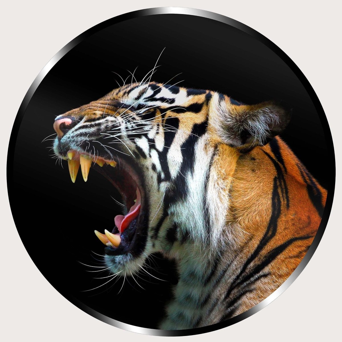 Illuminated Wall Art - Angry Tiger - madaboutneon