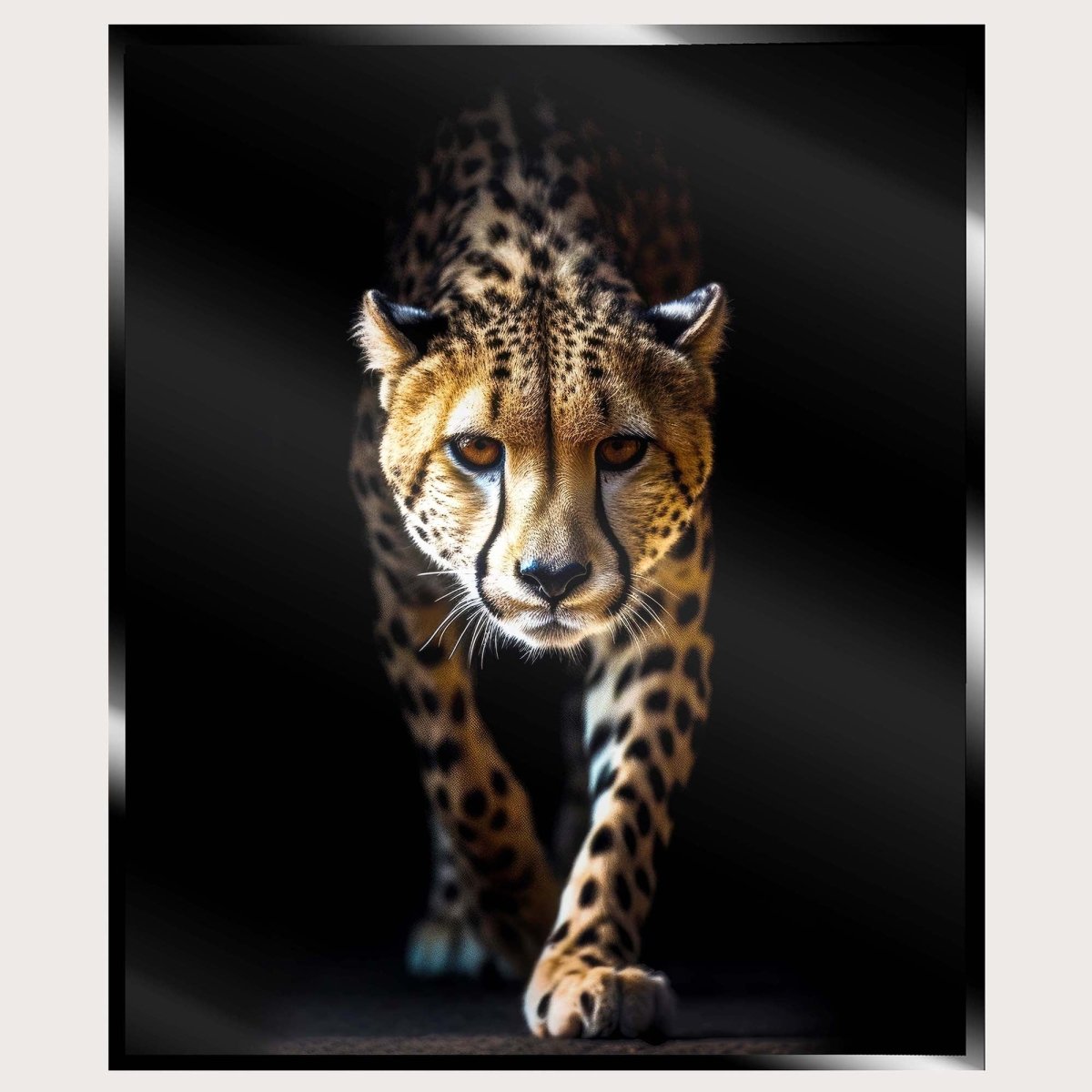 Illuminated Wall Art - Wild Leopard - madaboutneon