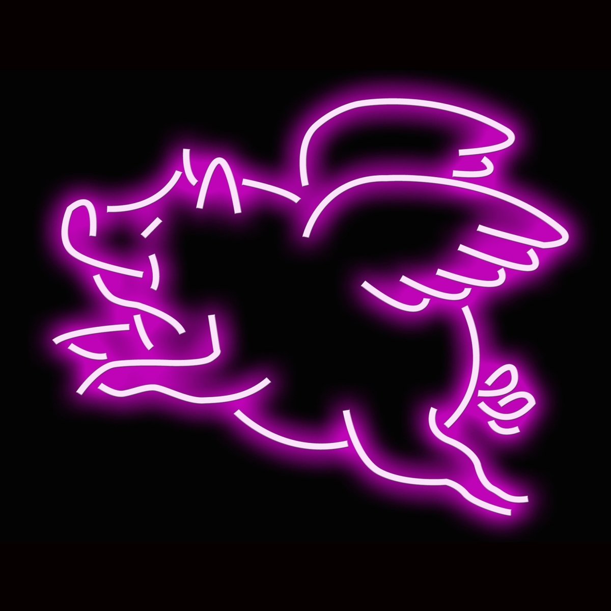 Personalised LED Neon Sign FLYING PIG - madaboutneon