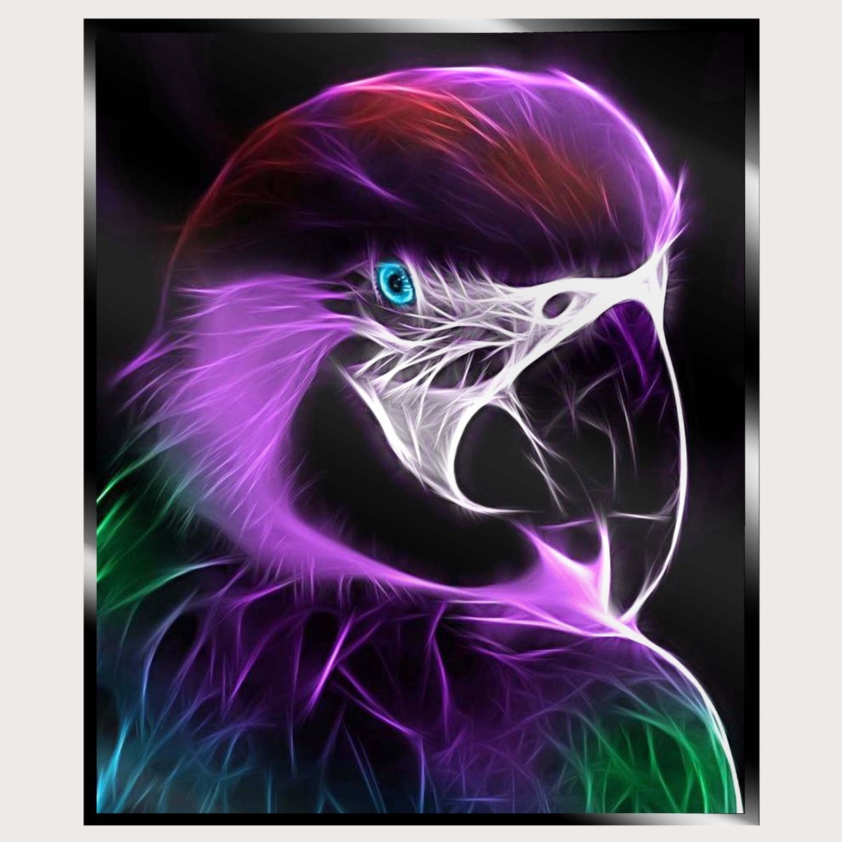 Illuminated Wall Art - Birds of Prey - madaboutneon