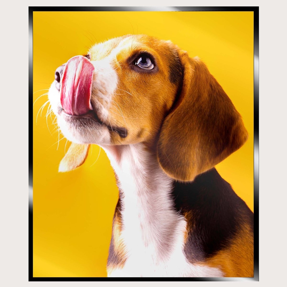 Illuminated Wall Art - Cute Beagle - madaboutneon