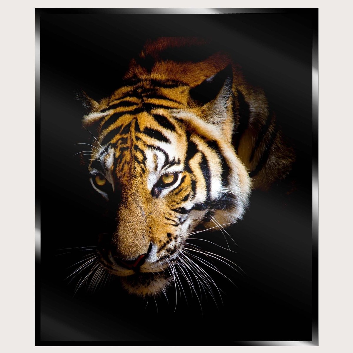 Illuminated Wall Art - Tiger 3 - madaboutneon