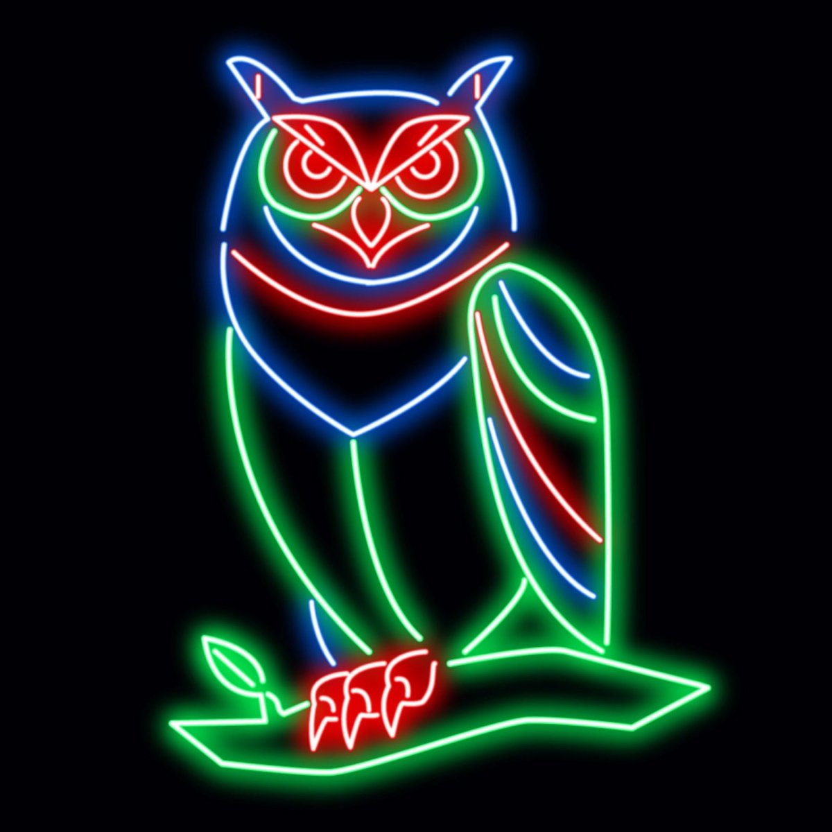 Personalised LED Neon Sign OWL 1 - madaboutneon
