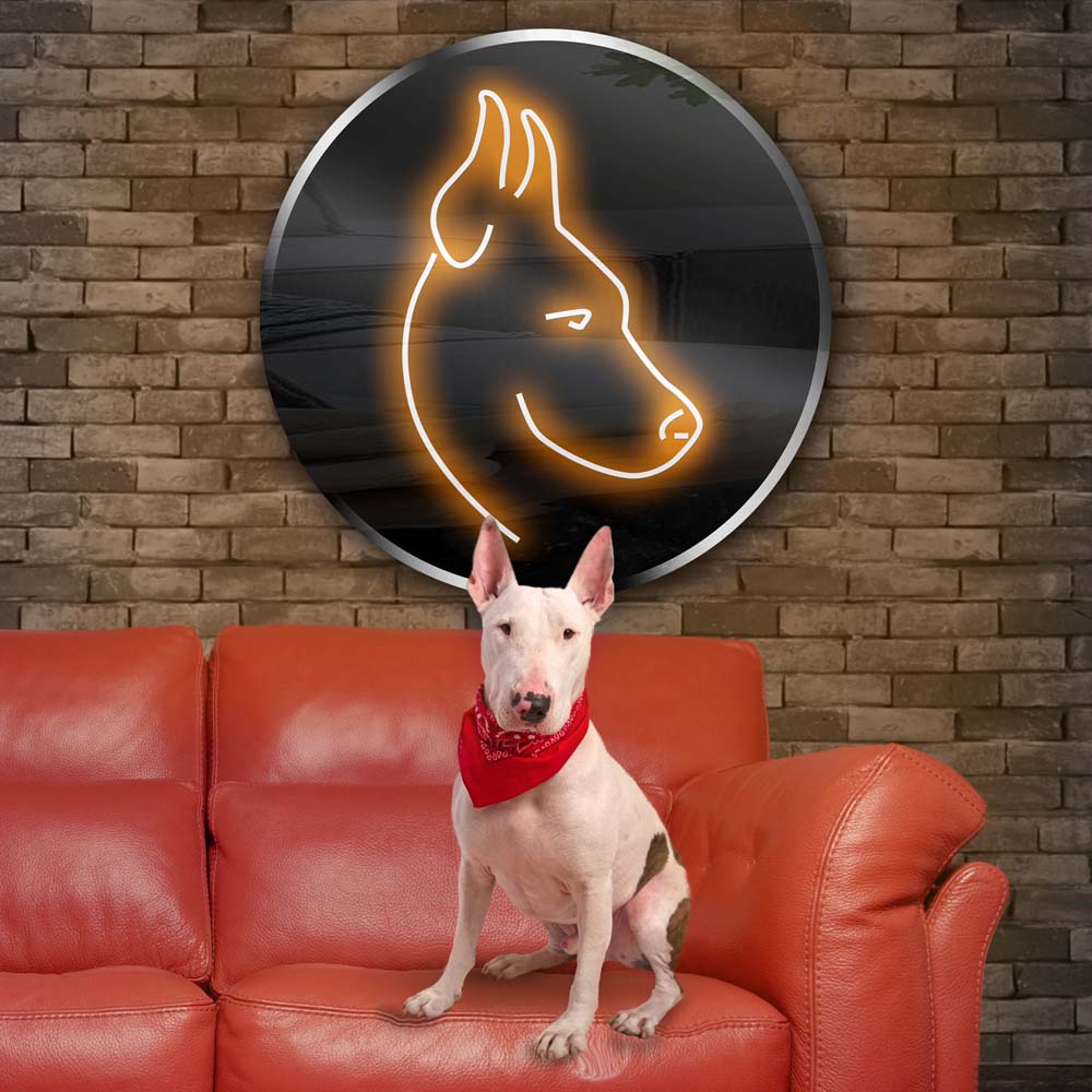 Personalised LED Neon Sign POOCH - madaboutneon